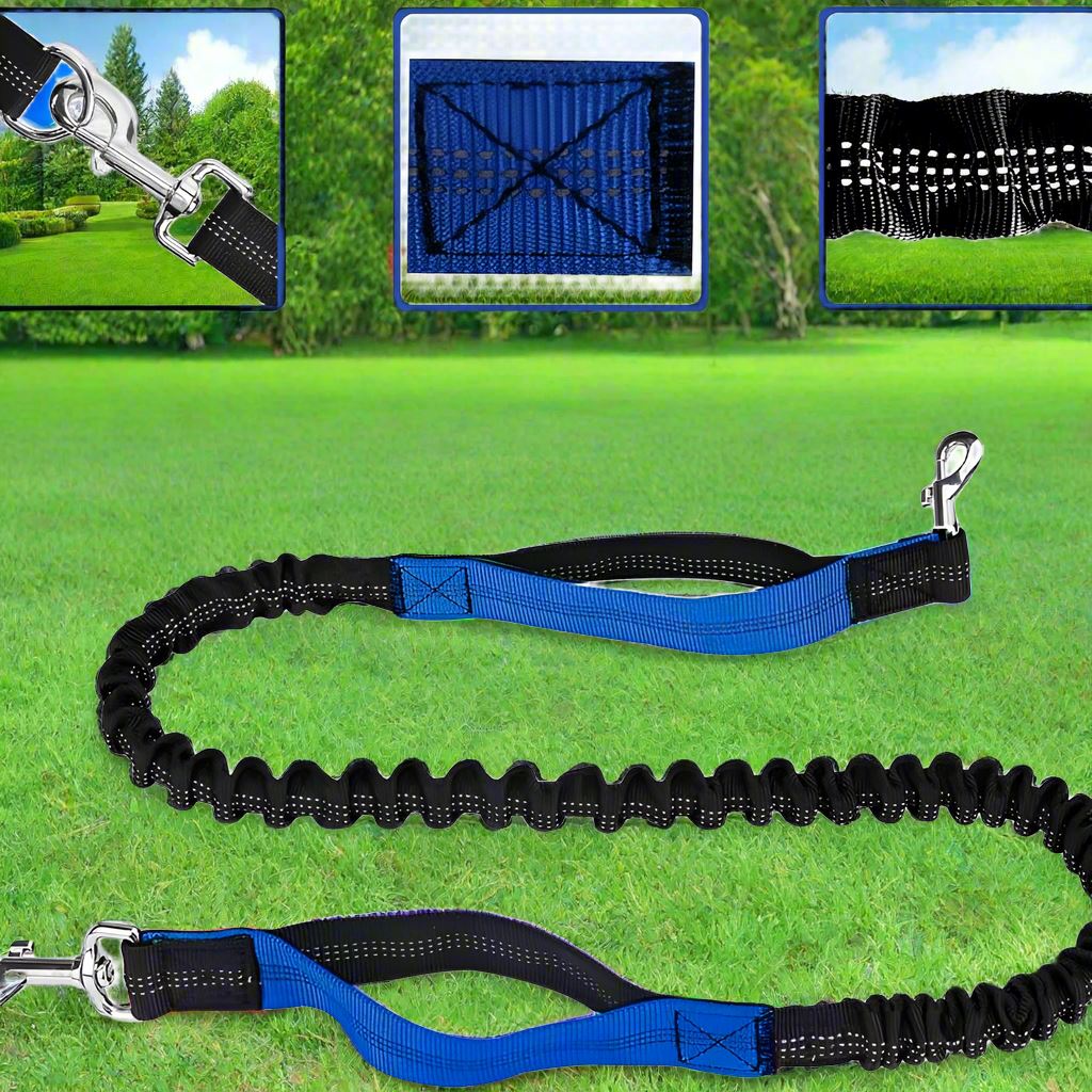 Laisse Chien - HandFreeDogLeash™ - Bleu - Lechiotfute