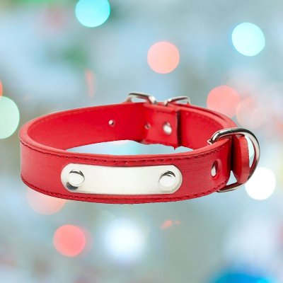 Collier Chien - LeatherDogCollar™ - Rouge - Lechiotfute