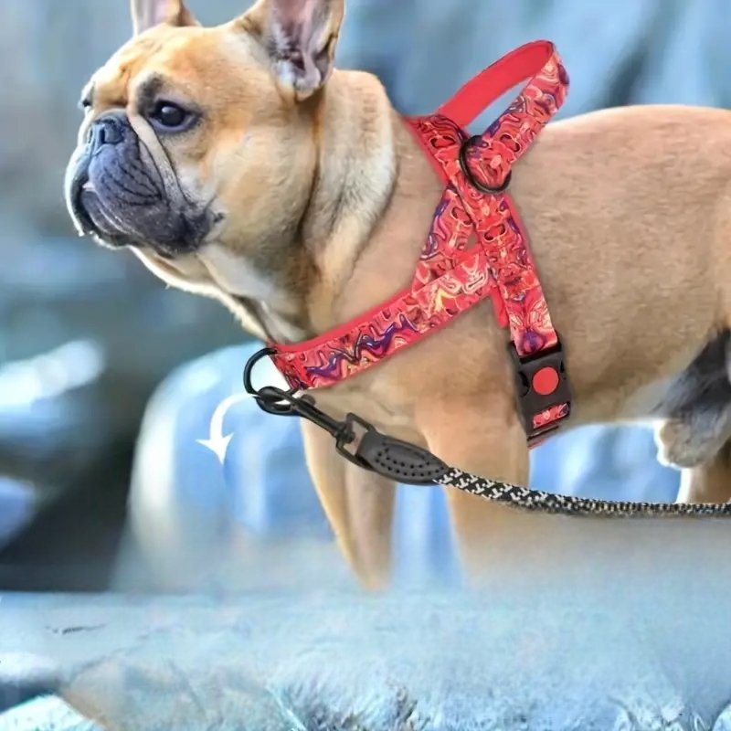 Harnais pour Chien - DogSafeHarness™ - Rouge - Lechiotfute