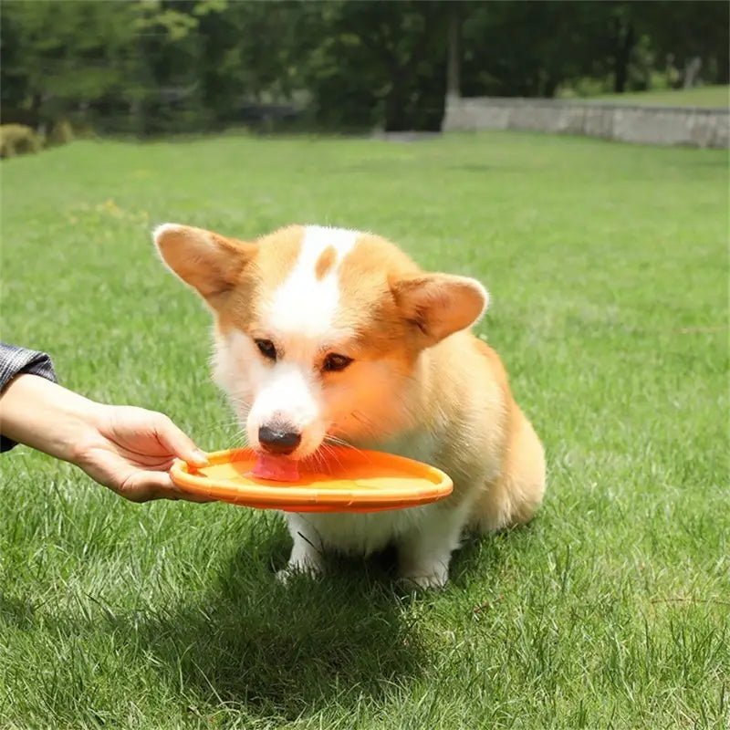 Frisbee - FlyDog™ - Orange - Lechiotfute