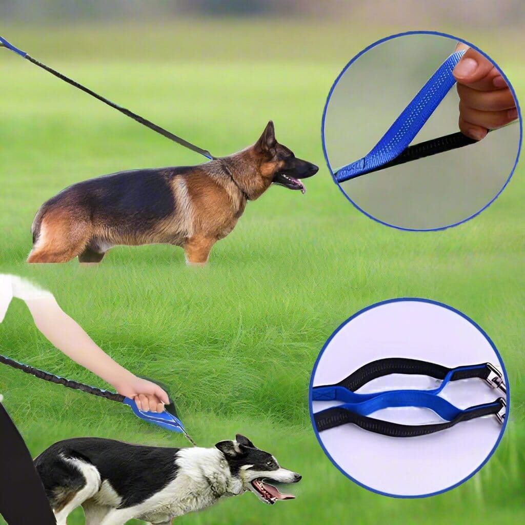 Laisse Chien - HandFreeDogLeash™ - Bleu - Lechiotfute