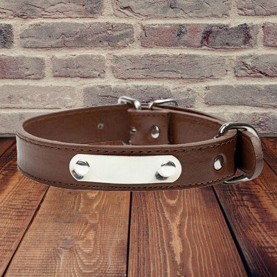 Collier Chien - LeatherDogCollar™ - Marron - Lechiotfute