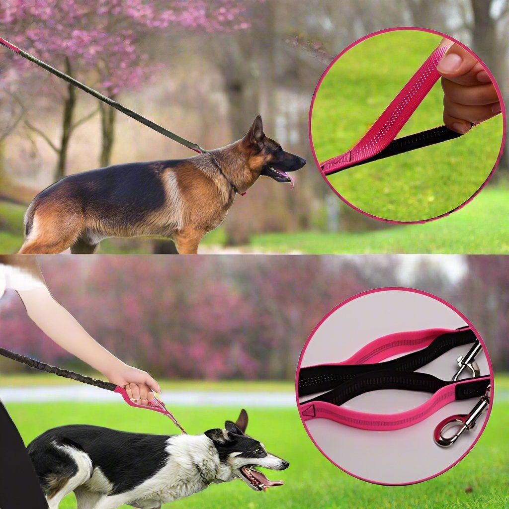 Laisse Chien - HandFreeDogLeash™ - Rose - Lechiotfute