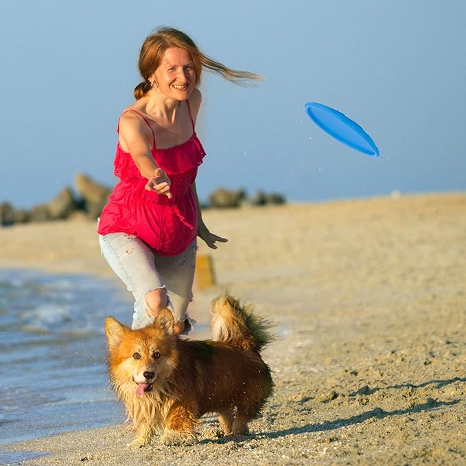 Frisbee - FlyDog™ - Bleu - Lechiotfute