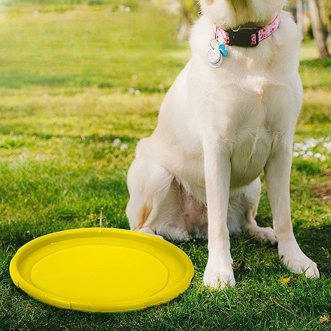 Frisbee - FlyDog™ - Jaune - Lechiotfute