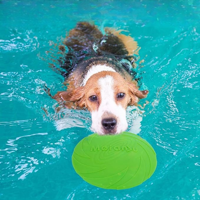 Frisbee - FlyDog™ - Vert - Lechiotfute