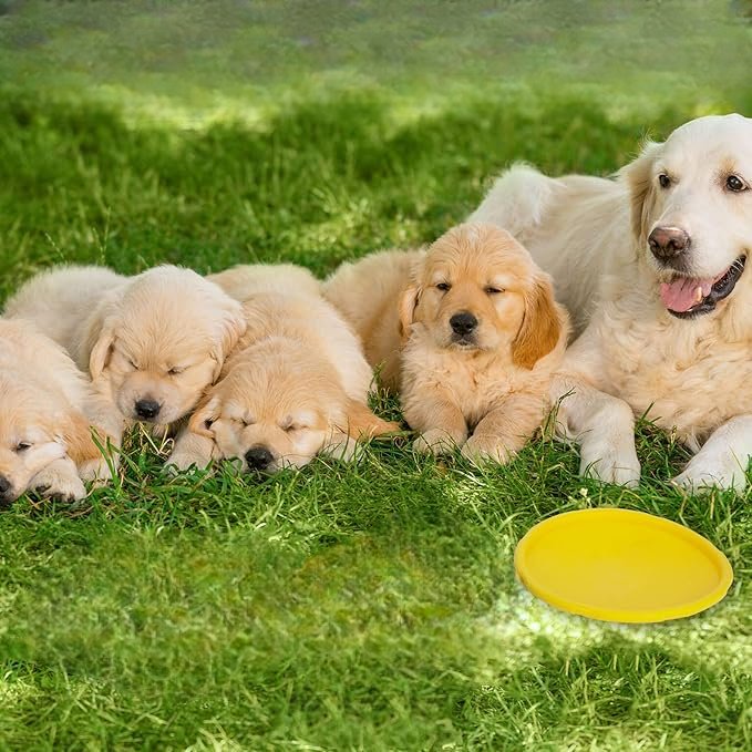 Frisbee - FlyDog™ - Jaune - Lechiotfute