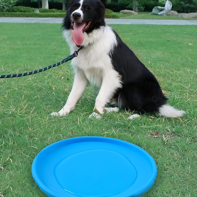 Frisbee - FlyDog™ - Bleu - Lechiotfute