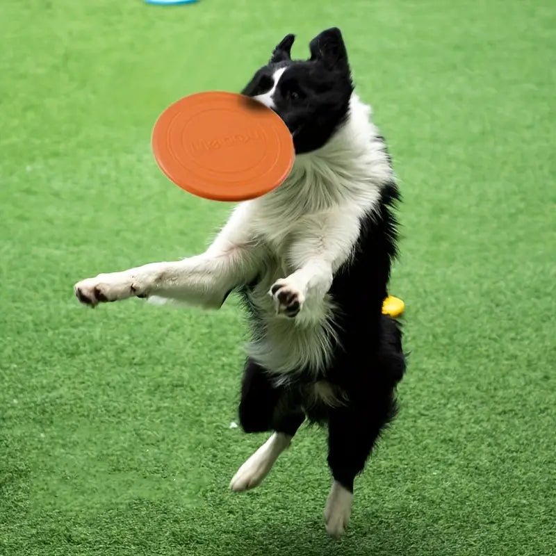 Frisbee - FlyDog™ - Orange - Lechiotfute