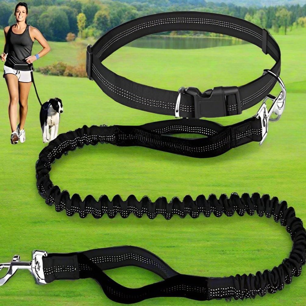 Laisse Chien - HandFreeDogLeash™ - Noir - Lechiotfute