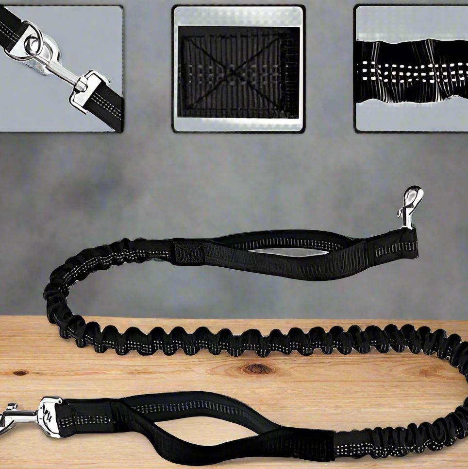 Laisse Chien - HandFreeDogLeash™ - Noir - Lechiotfute