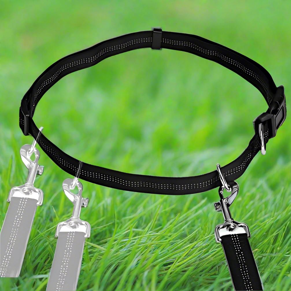 Laisse Chien - HandFreeDogLeash™ - Noir - Lechiotfute