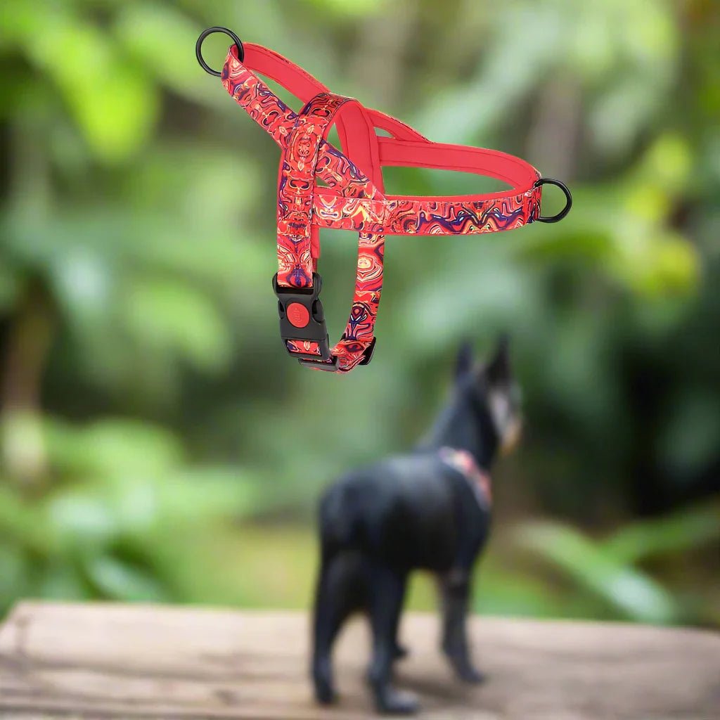 Harnais pour Chien - DogSafeHarness™ - Rouge - Lechiotfute