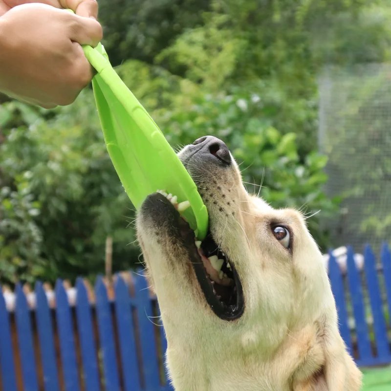 Frisbee - FlyDog™ - Vert - Lechiotfute