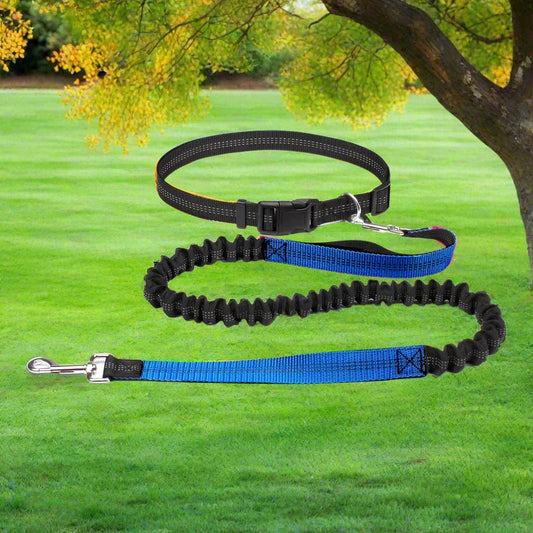 Laisse Chien - HandFreeDogLeash™ - Bleu - Lechiotfute