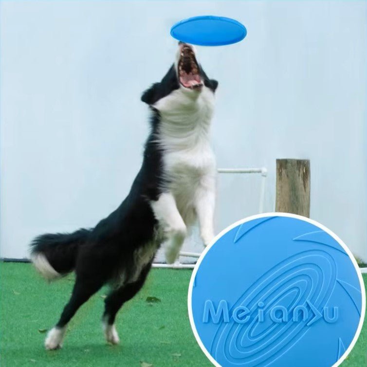 Frisbee - FlyDog™ - Bleu - Lechiotfute