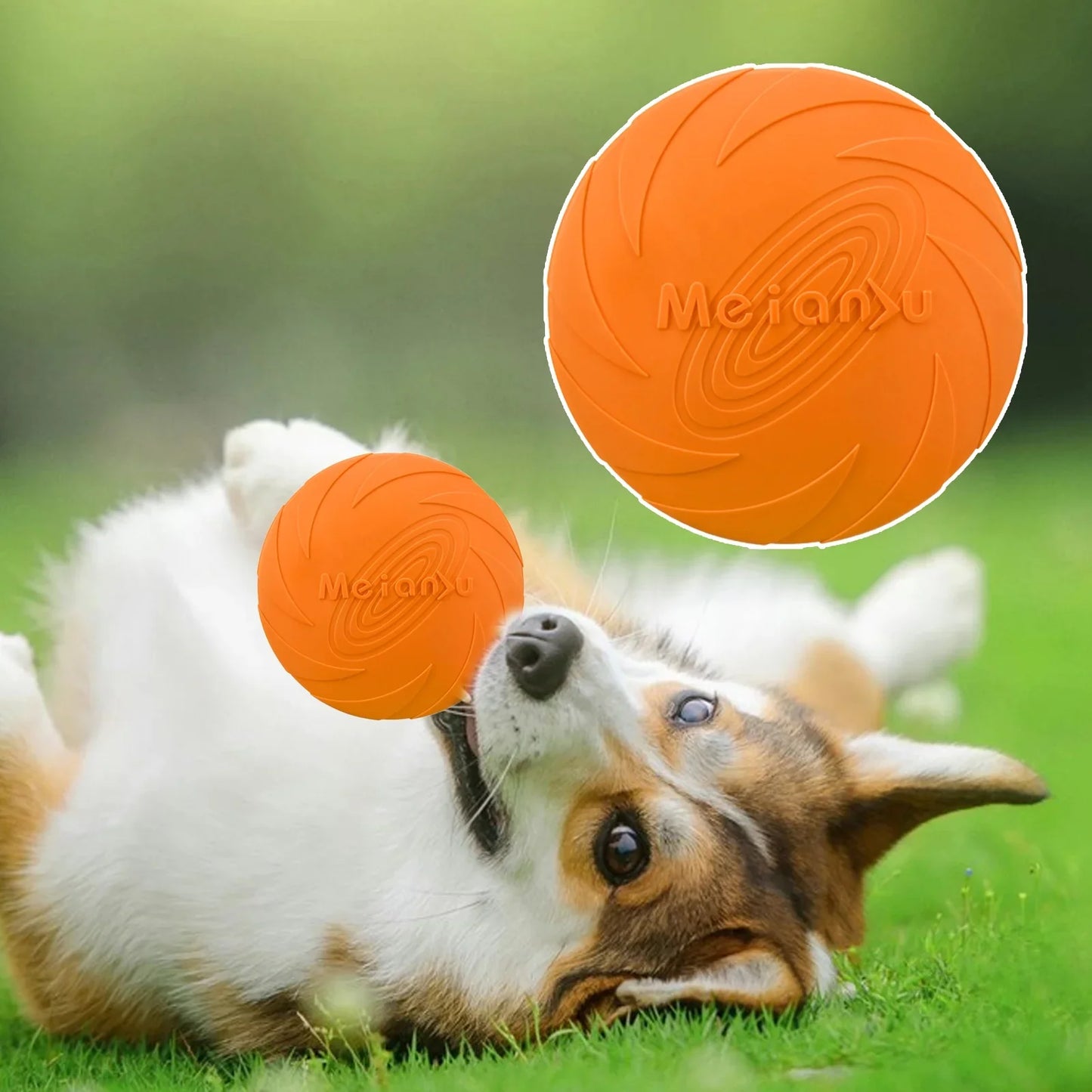 Frisbee - FlyDog™ - Orange - Lechiotfute