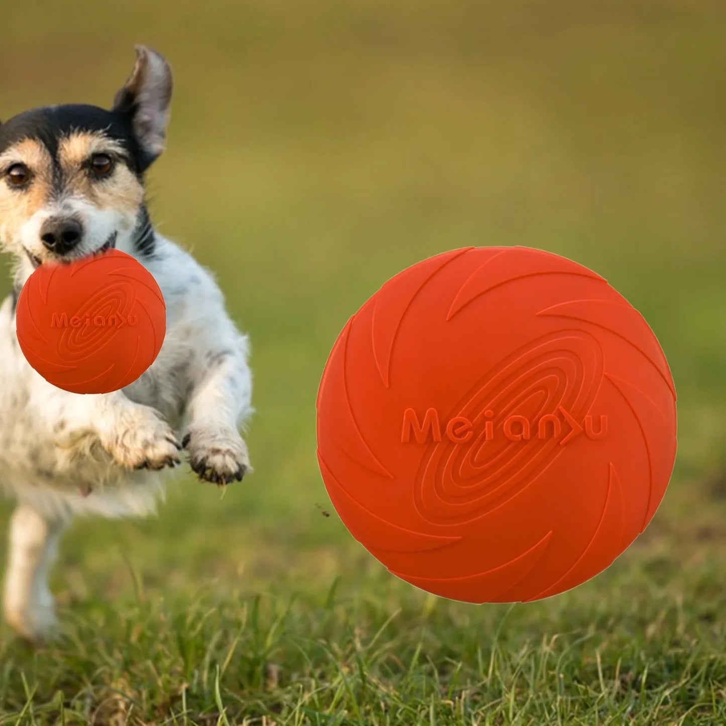 Frisbee - FlyDog™ - Rouge - Lechiotfute